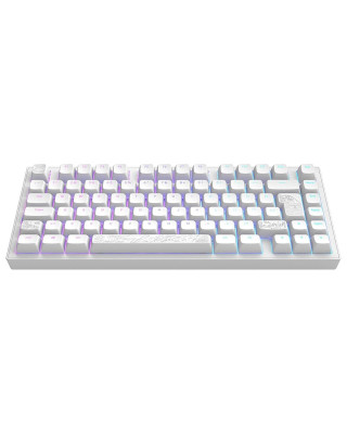 Tastatura Dark Project ALU Terra Nova White - Wireless Gaming Keyboard (ANSI) 