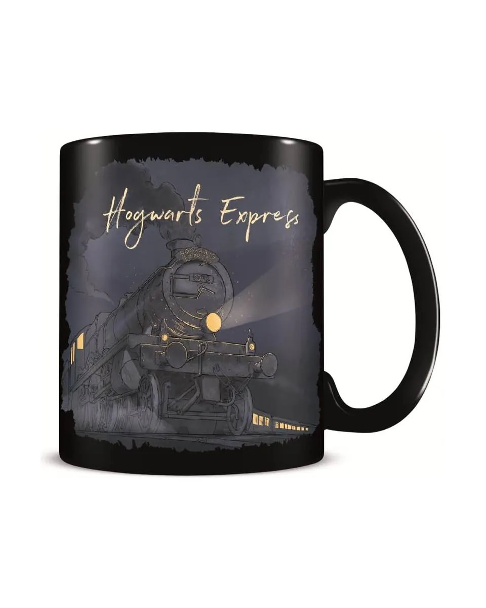 Šolja Harry Potter - Glimmer of Hope - Heat Change Mug 