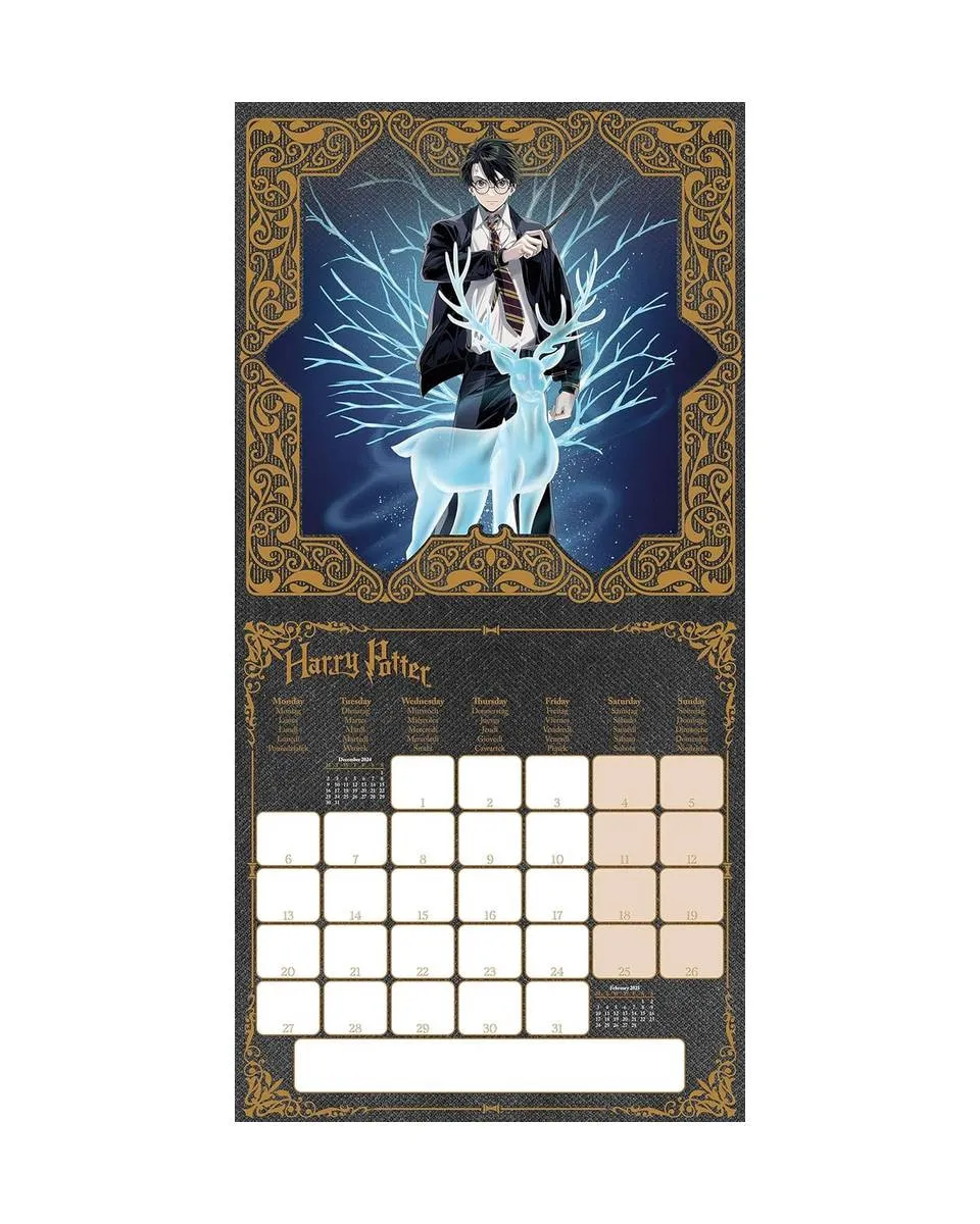 Zidni Kalendar Harry Potter - 2025 Square Calendar 30x30cm 